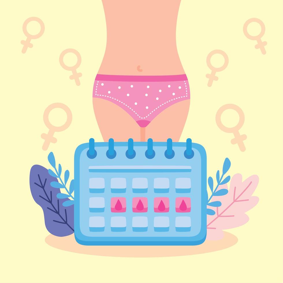 calendario y menstruación de las mujeres vector