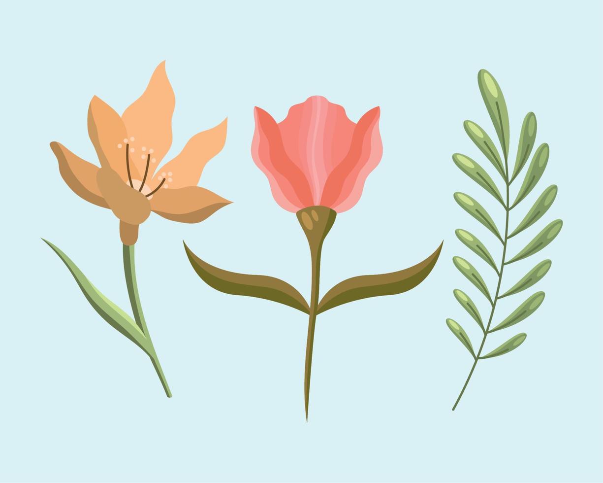 flowers and branch vector
