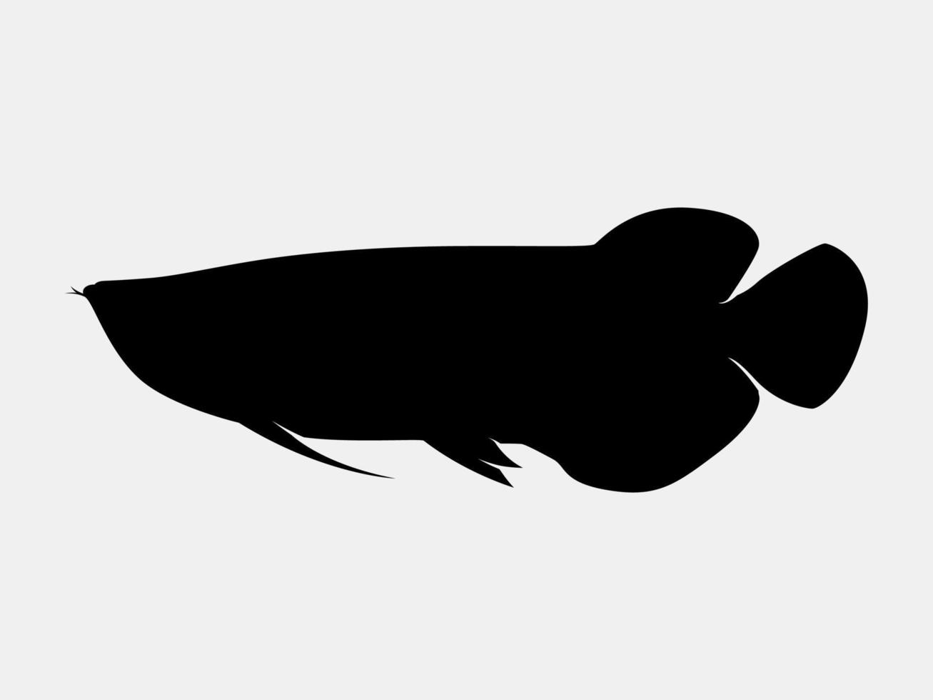 arowana vector silhouette