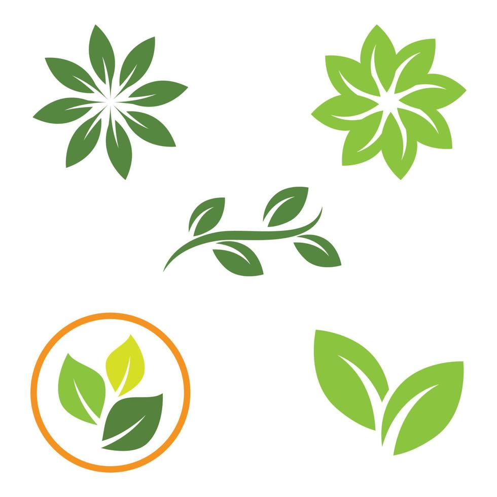 hoja verde logo ecología naturaleza elemento vector icono