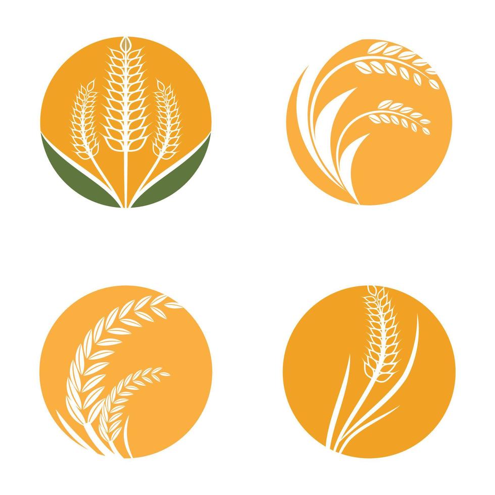 Diseño de ilustración de vector de plantilla de logotipo de trigo