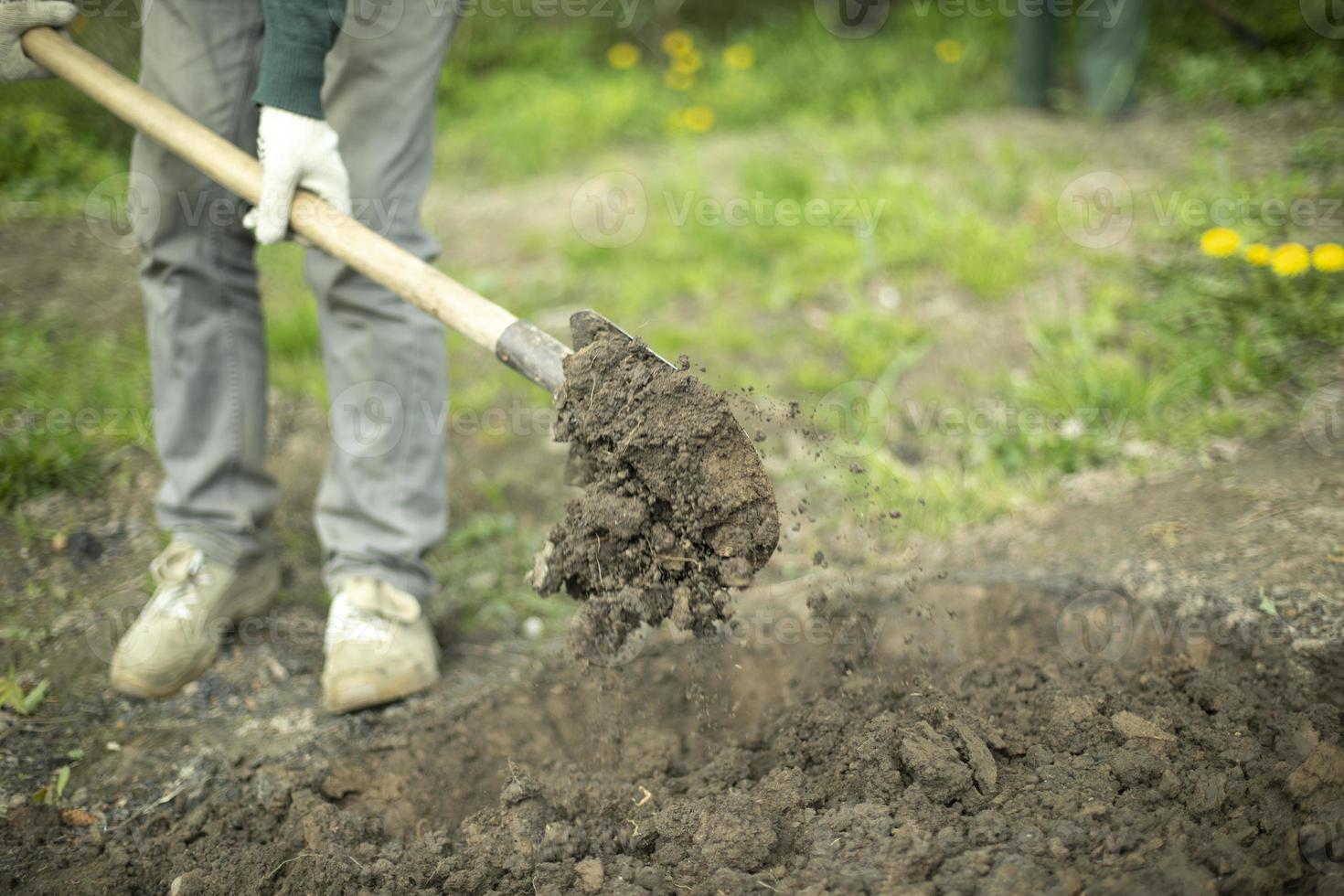 Guy is digging ground. Man with shovel. Details of rural life. photo