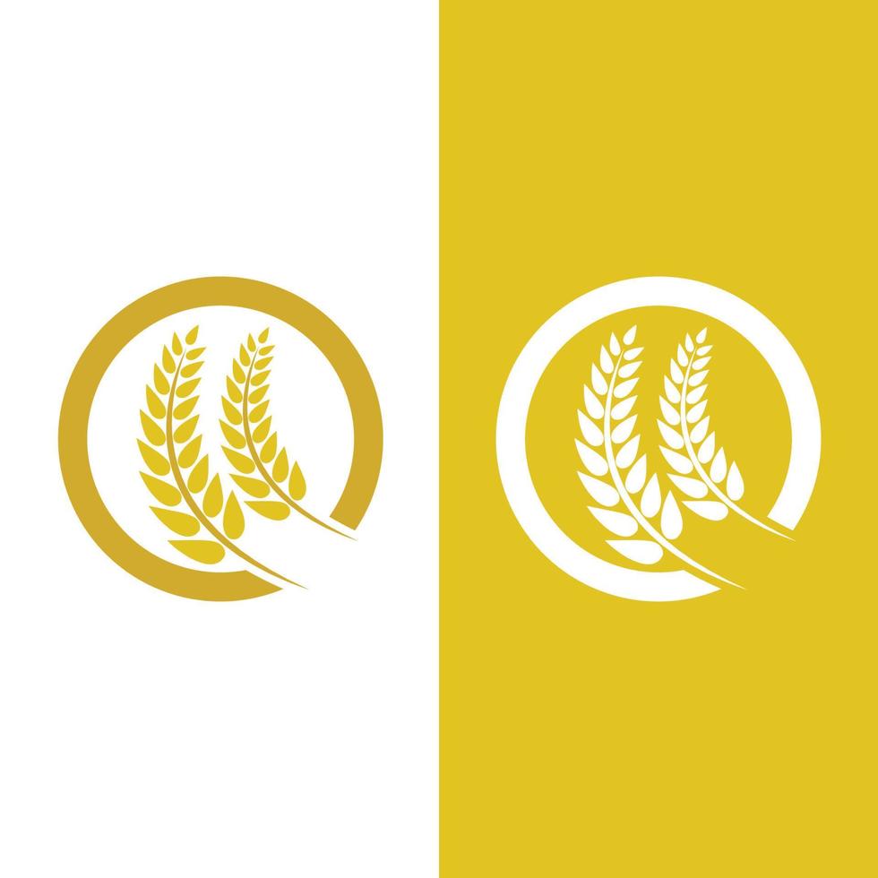 Agriculture wheat vector