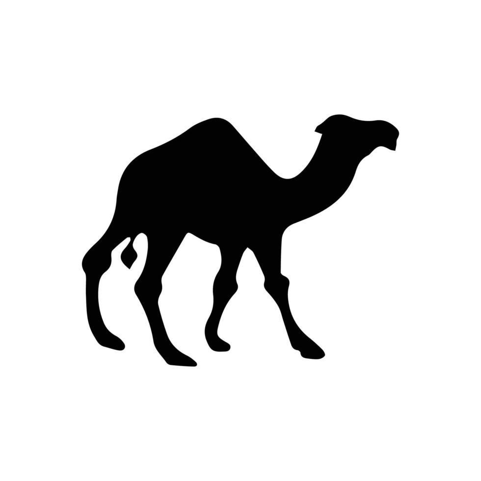 silhouette of camel isolated on white vector