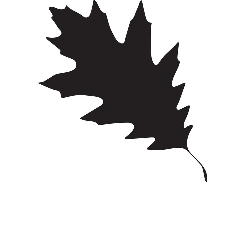 Autumn Leaves, fall leaf vector