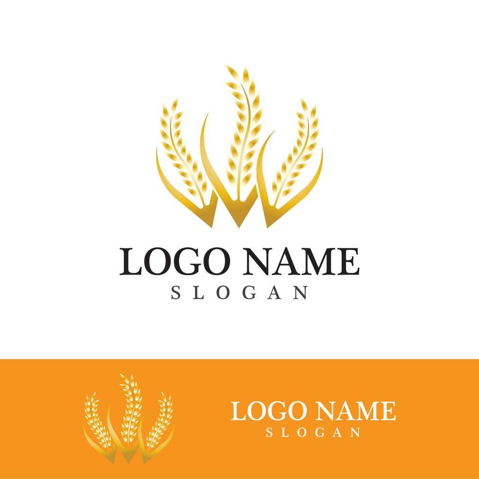 Agriculture wheat vector