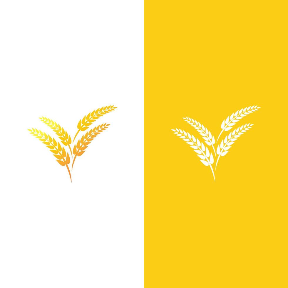 Agriculture wheat vector