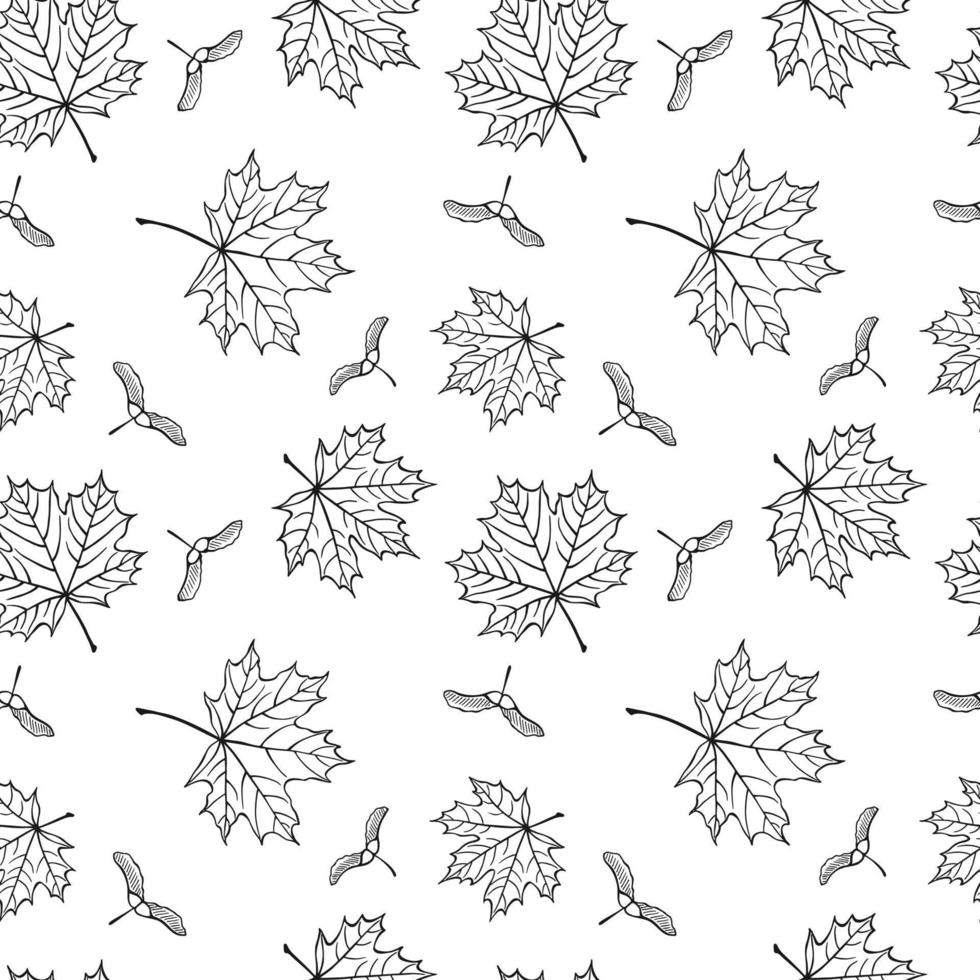 Seamless pattern with autumn maple leaves. Autumn holidays background. Hand drawn vector illustration.