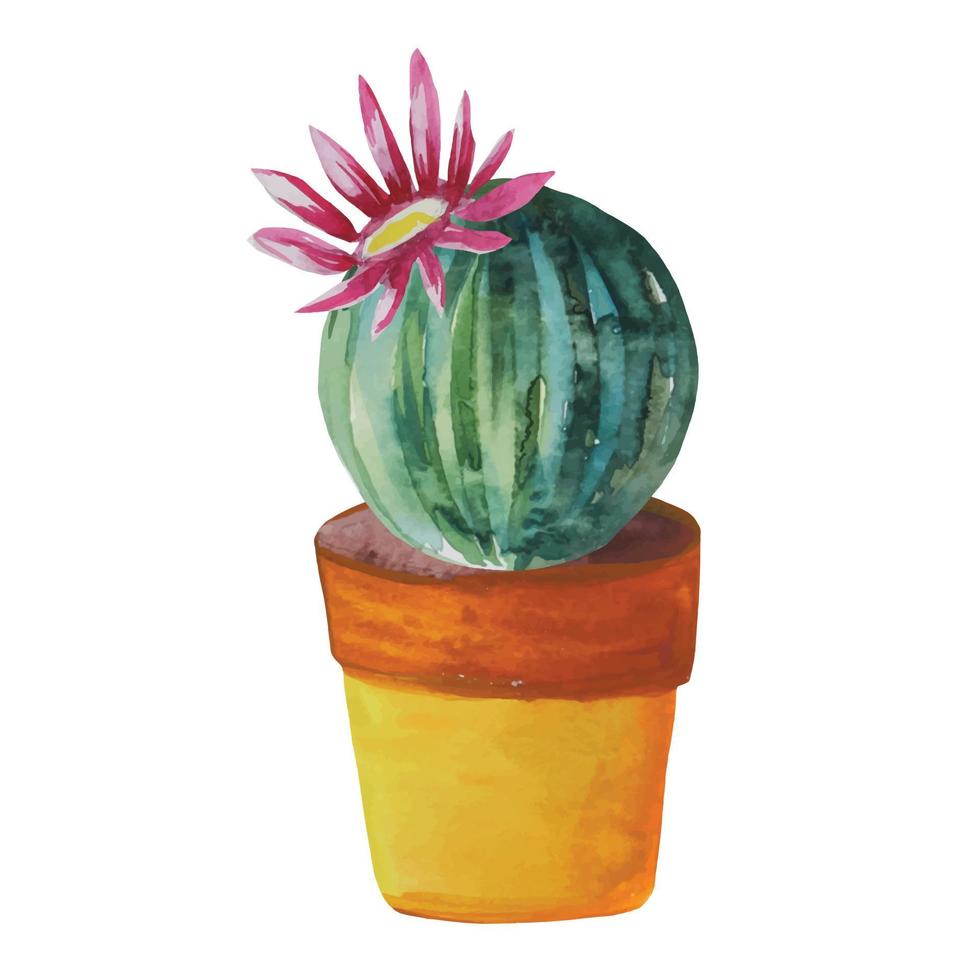 round cactus with blooming flower in a pot vector