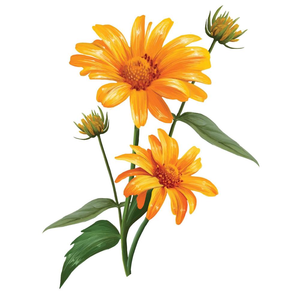 manzanilla flores amarillo vector