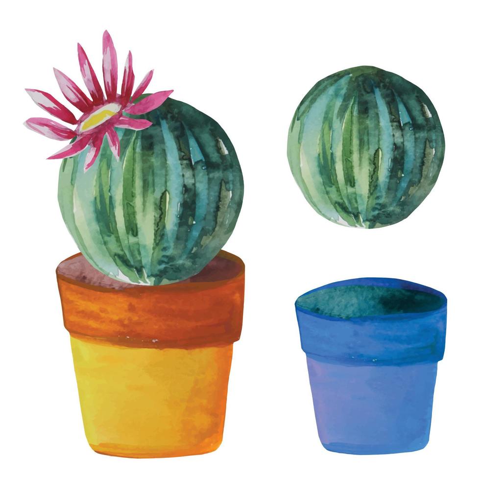 set of round cacti with a blooming flower in a pot vector