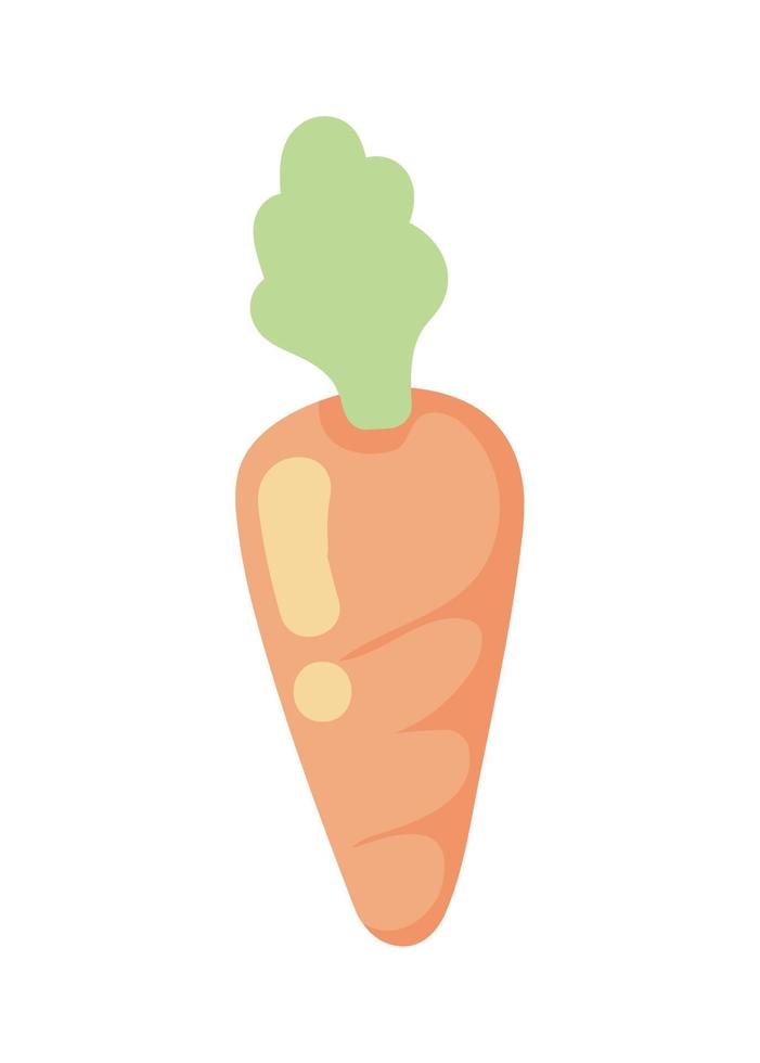 carrot vegetable icon vector