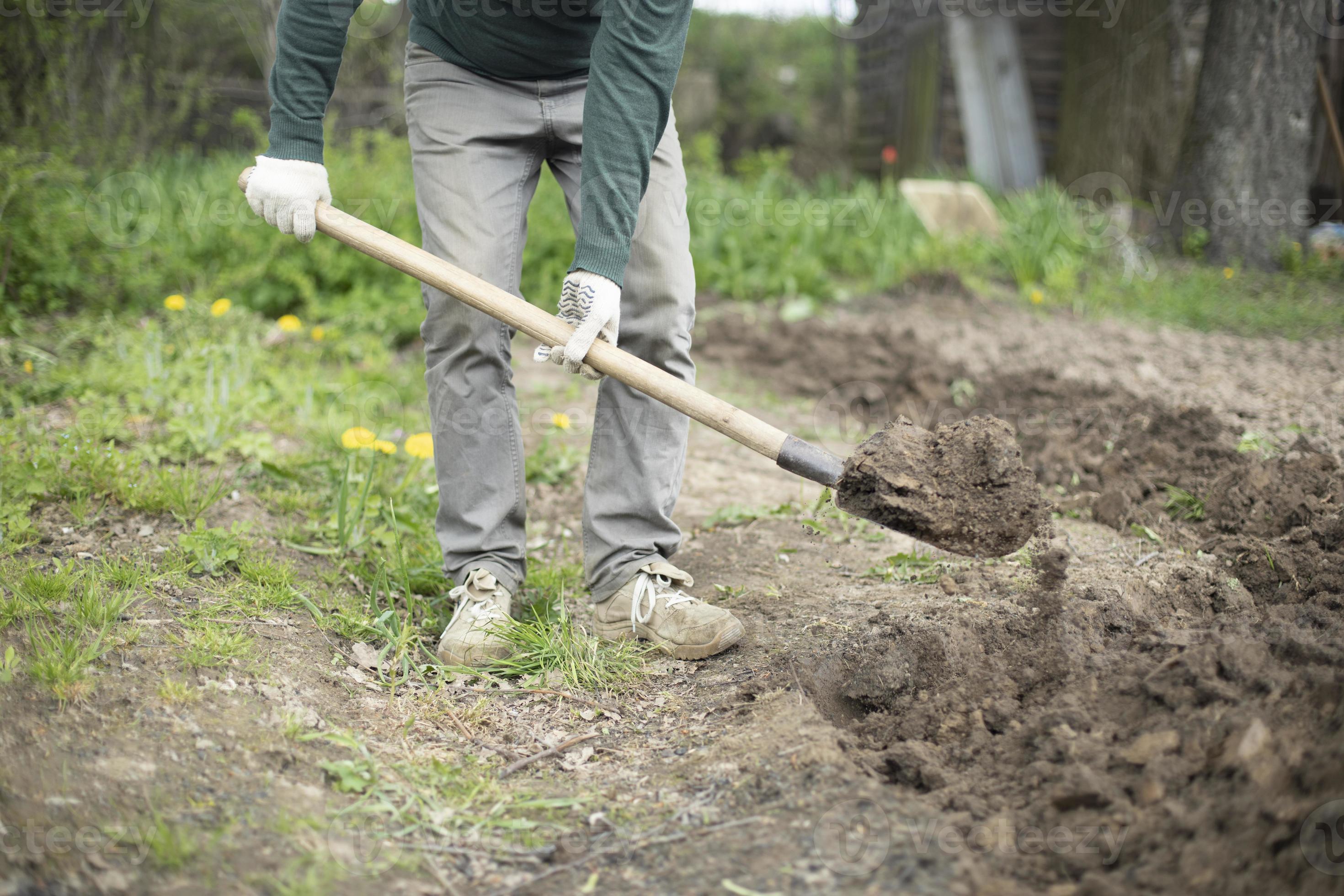 Guy is digging ground. Man with shovel. Details of rural life. Digging up soil. 11144292 Stock