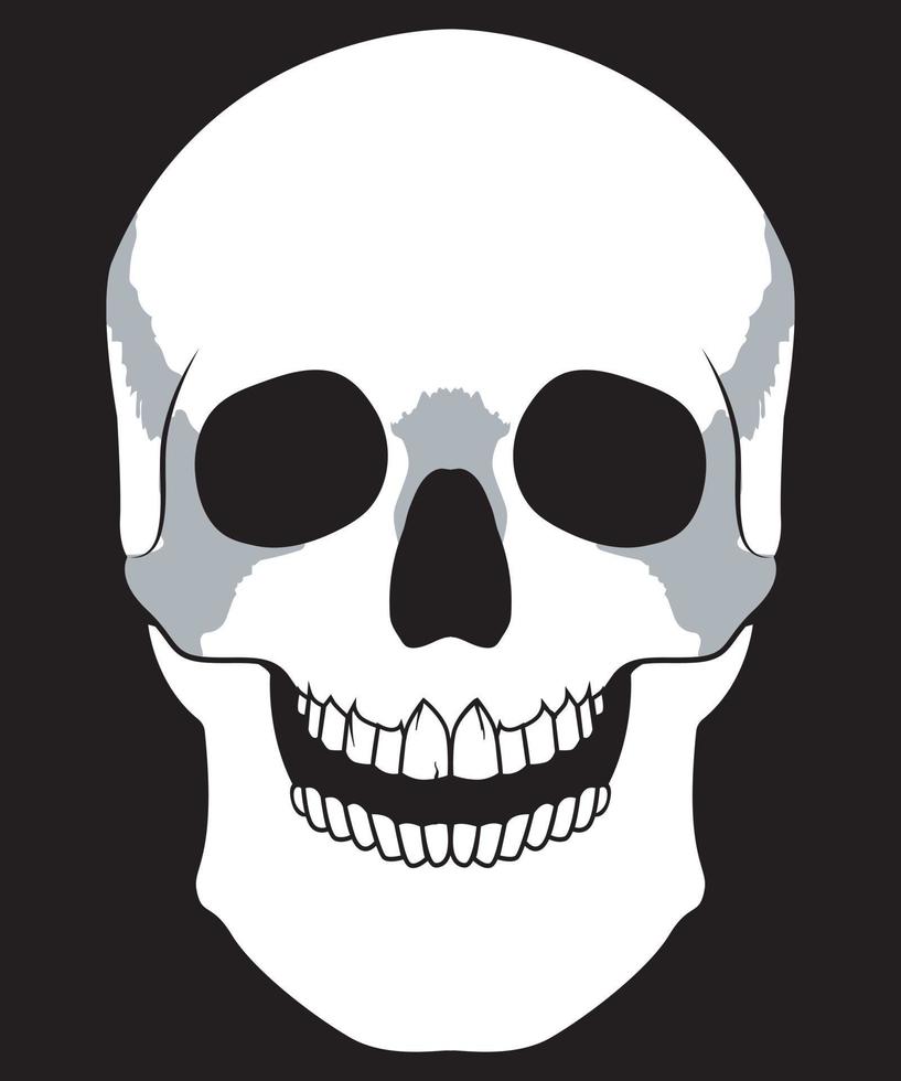 Human skull Face vector