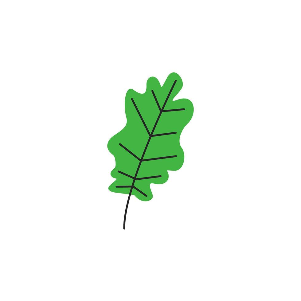 hoja verde fresca de otoño con venas. temporada de follaje de roble de otoño. elemento botánico decorativo. silueta simple de una sola hoja de roble. ilustración vectorial plana dibujada a mano aislada sobre fondo blanco vector