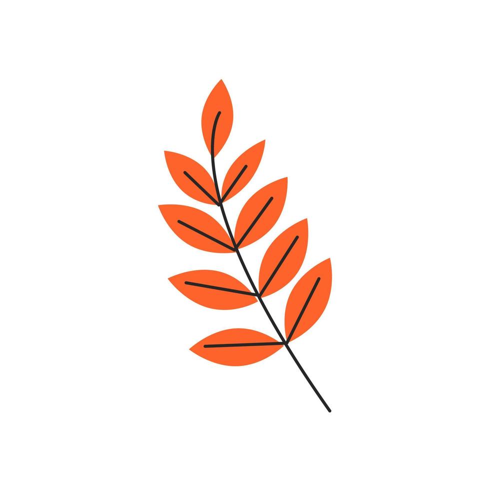 hojas de otoño naranja con venas. temporada de follaje de serbal de otoño. elemento botánico decorativo. simple silueta de rama de árbol de sorb único. ilustración vectorial plana dibujada a mano aislada sobre fondo blanco vector