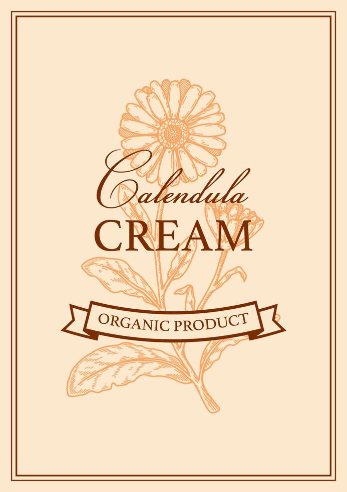 Calendula packaging design with hand drawn elements. Vector illustration in sketch style