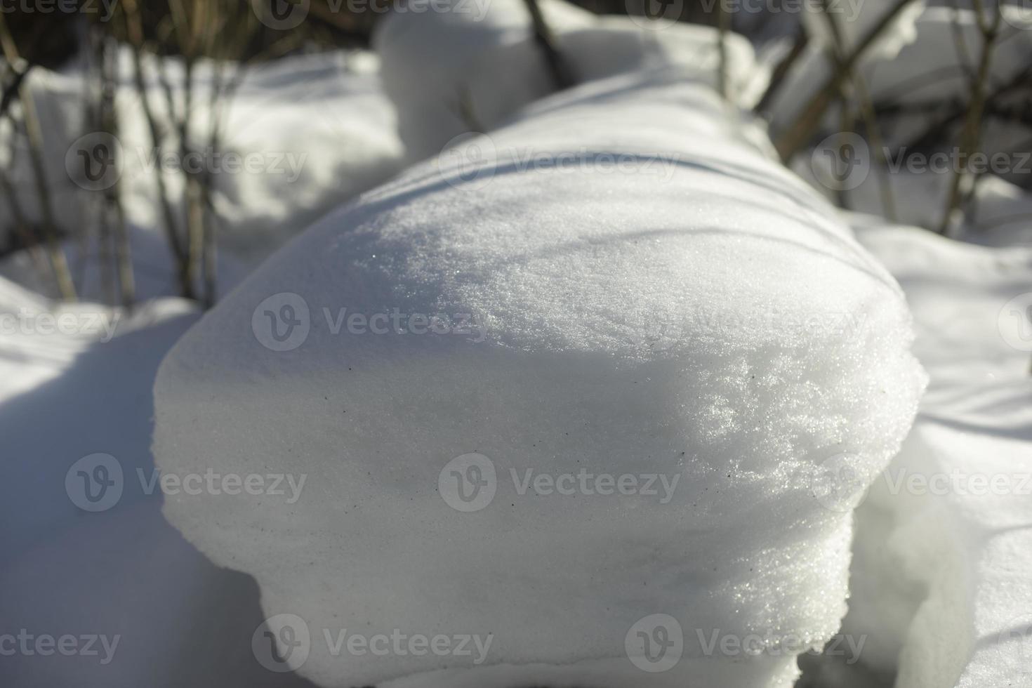 Snow in forest. Thick layer of snow on log. photo