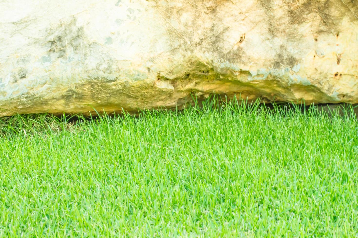 grass and rock background photo