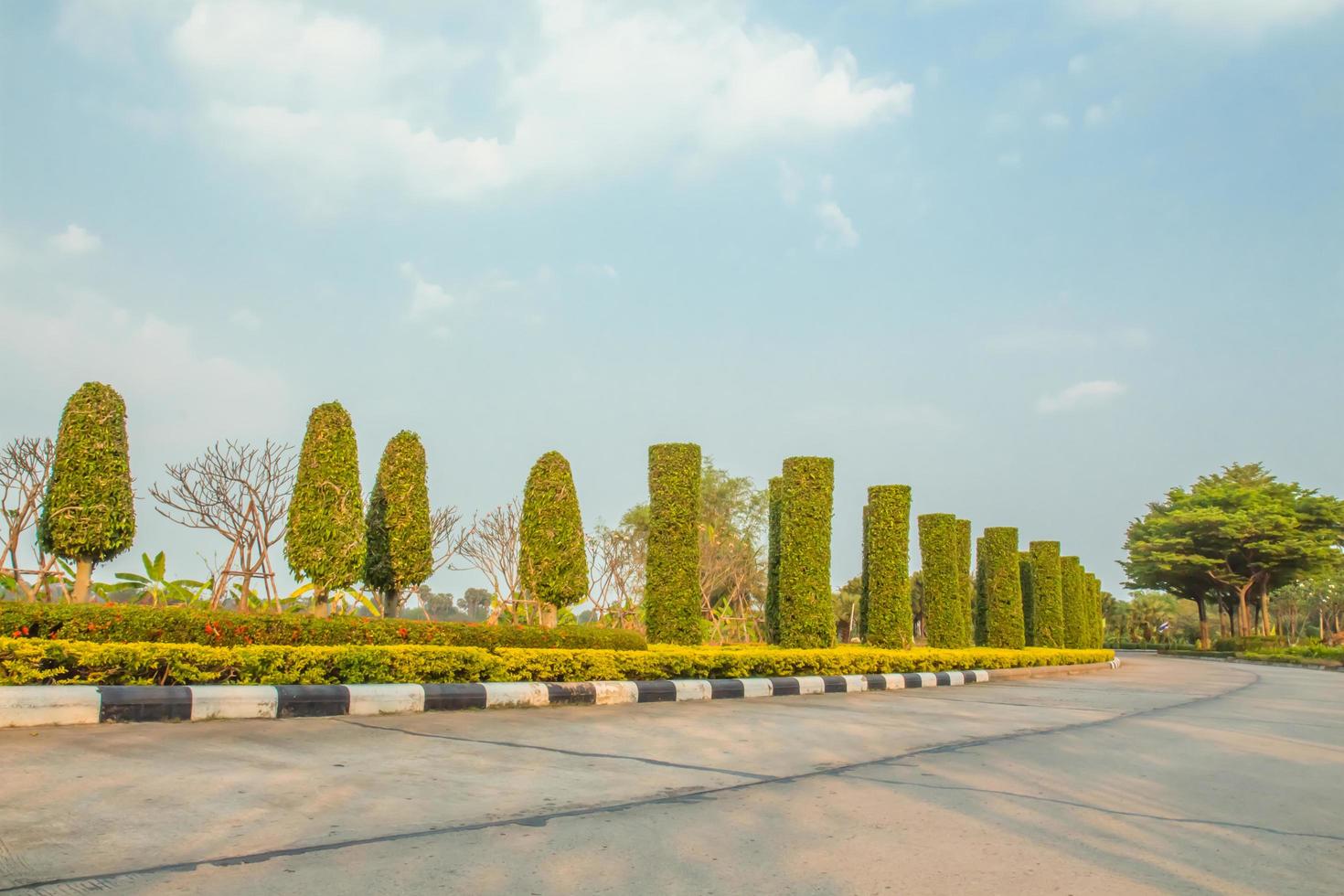 beautiful nature and road photo