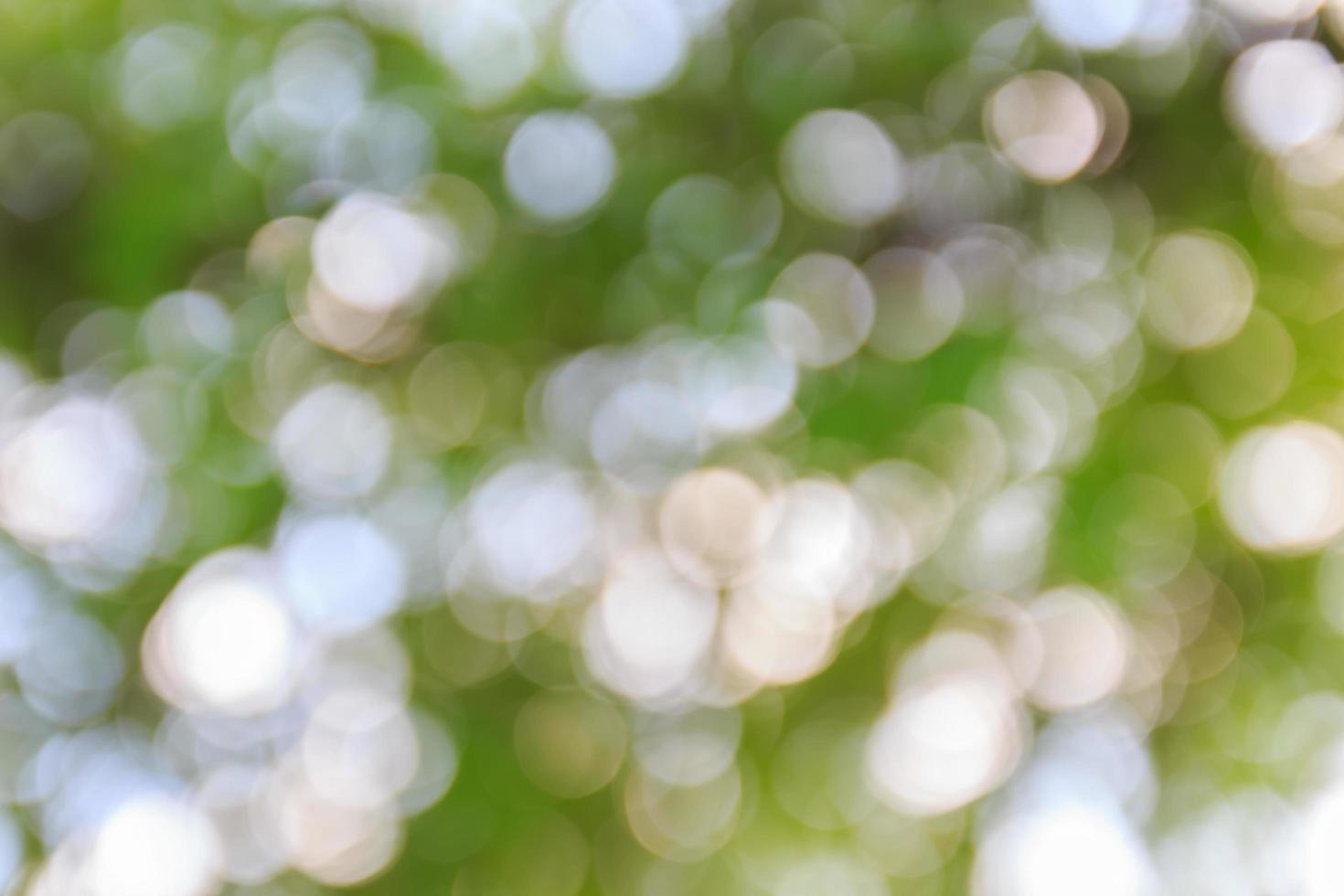 Green and blue summer bokeh for background photo