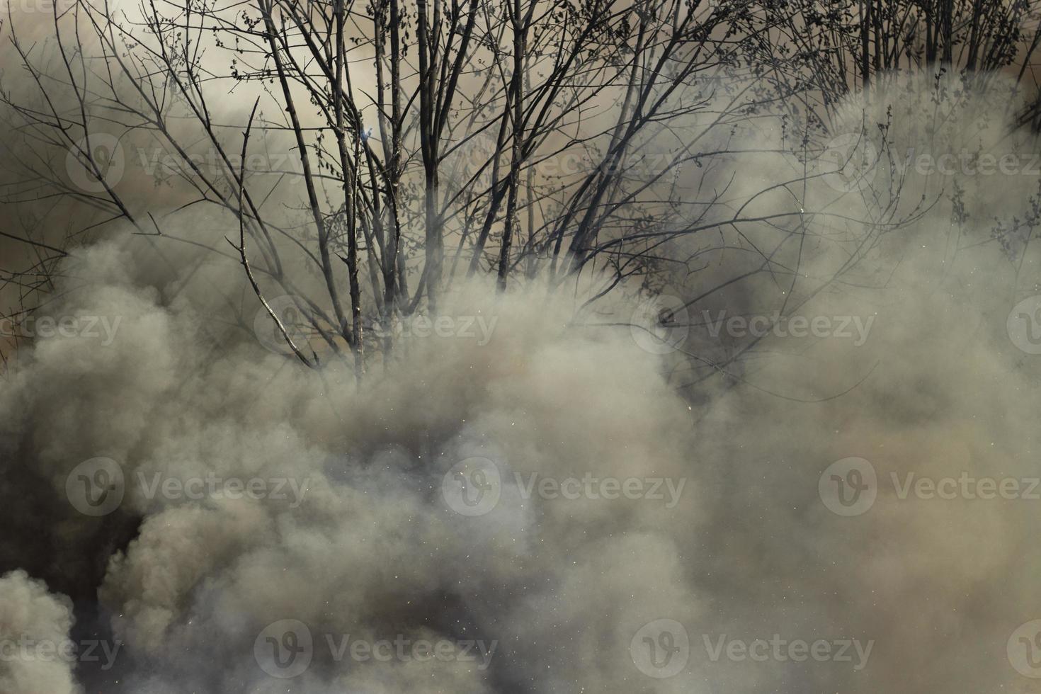 fuego en la calle. humo y fuego. el vertedero está ardiendo. peligros ambientales. foto