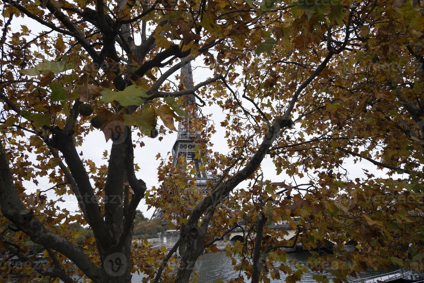 Eiffel tower viewed through the autumn tree leaves from the opposite bank of the River Seine photo