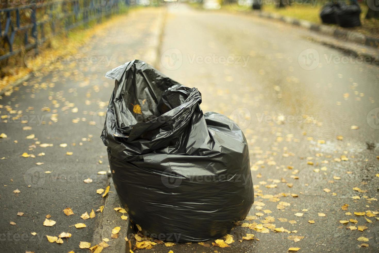 Bag of garbage on side of road. Leaf harvesting. Collecting waste in black bag. photo