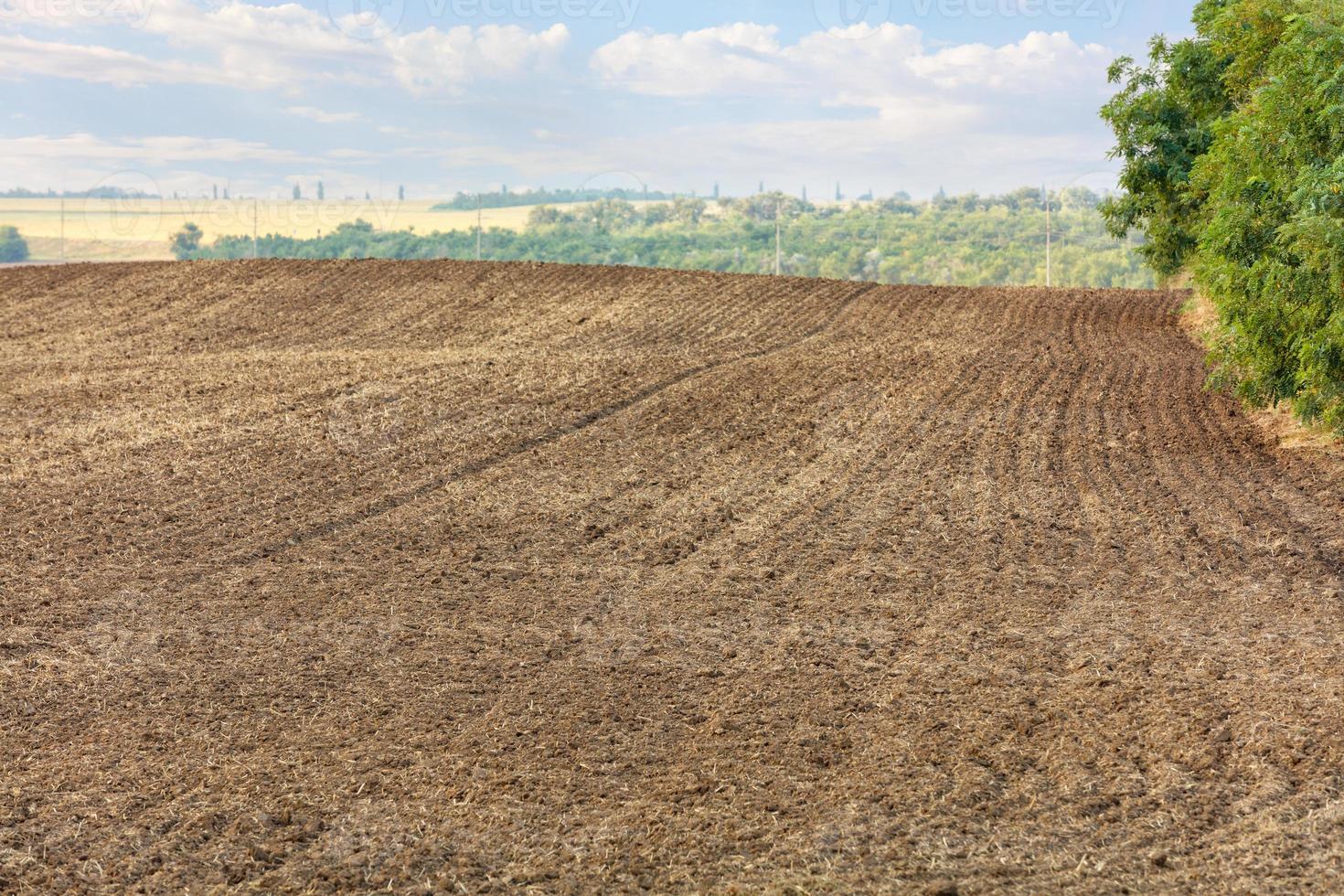 Smooth rows of plowed field land against the background of a summer rural landscape. photo