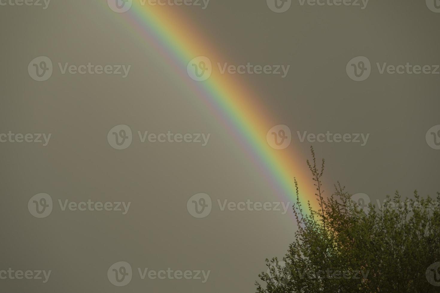 Rainbow in sky. Refraction of light. Weather after rain. Bright arc of different colors. photo