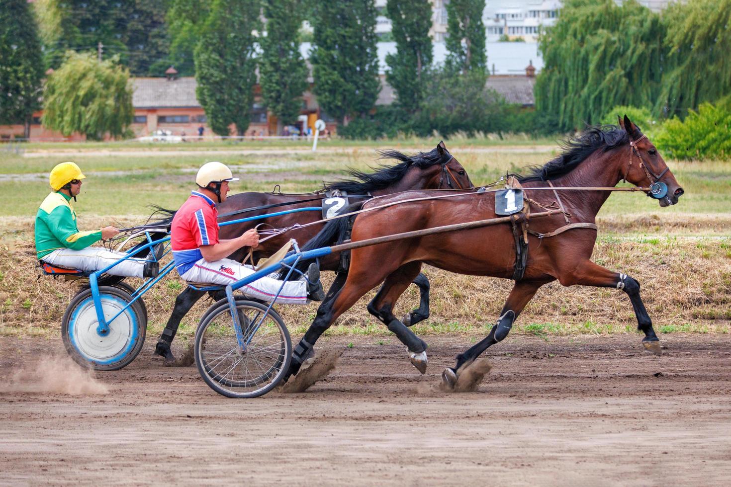 The running of beautiful and graceful horses harnessed to chariots. Chariot racing at the hippodrome. 06.26.2022. Kyiv. Ukraine. photo