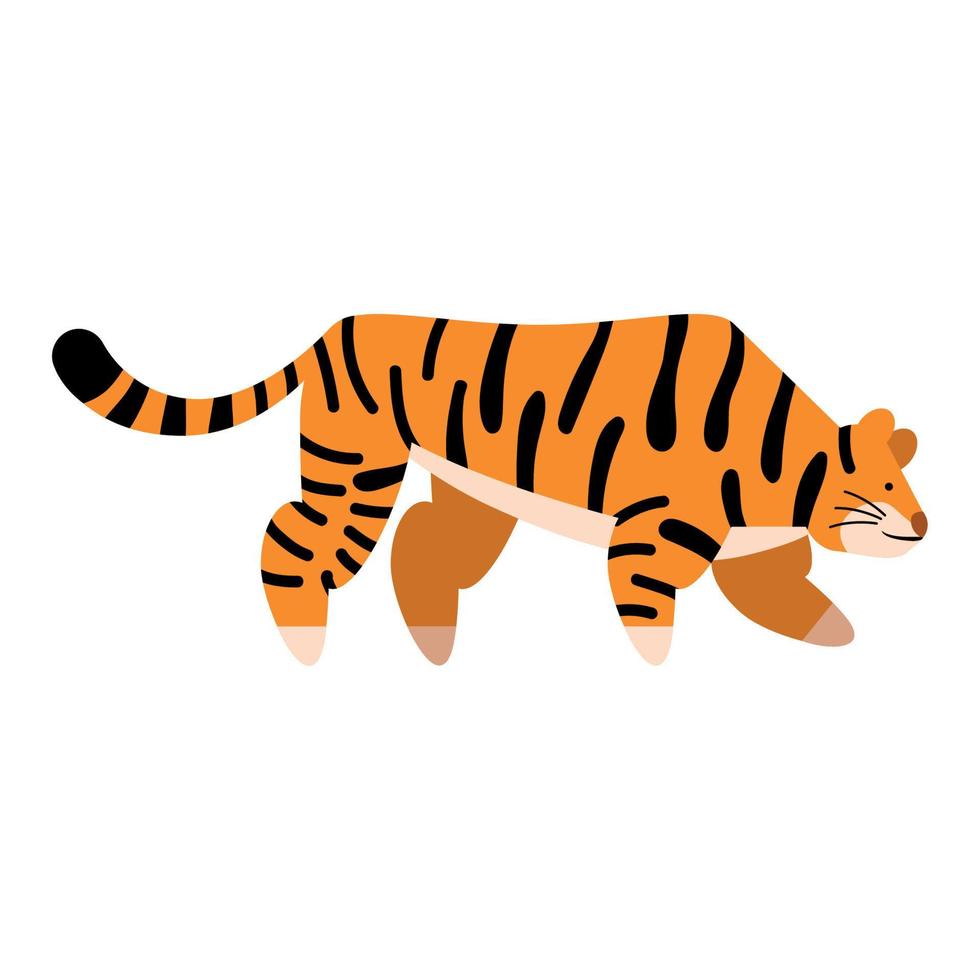 Bengal tiger animal wild vector