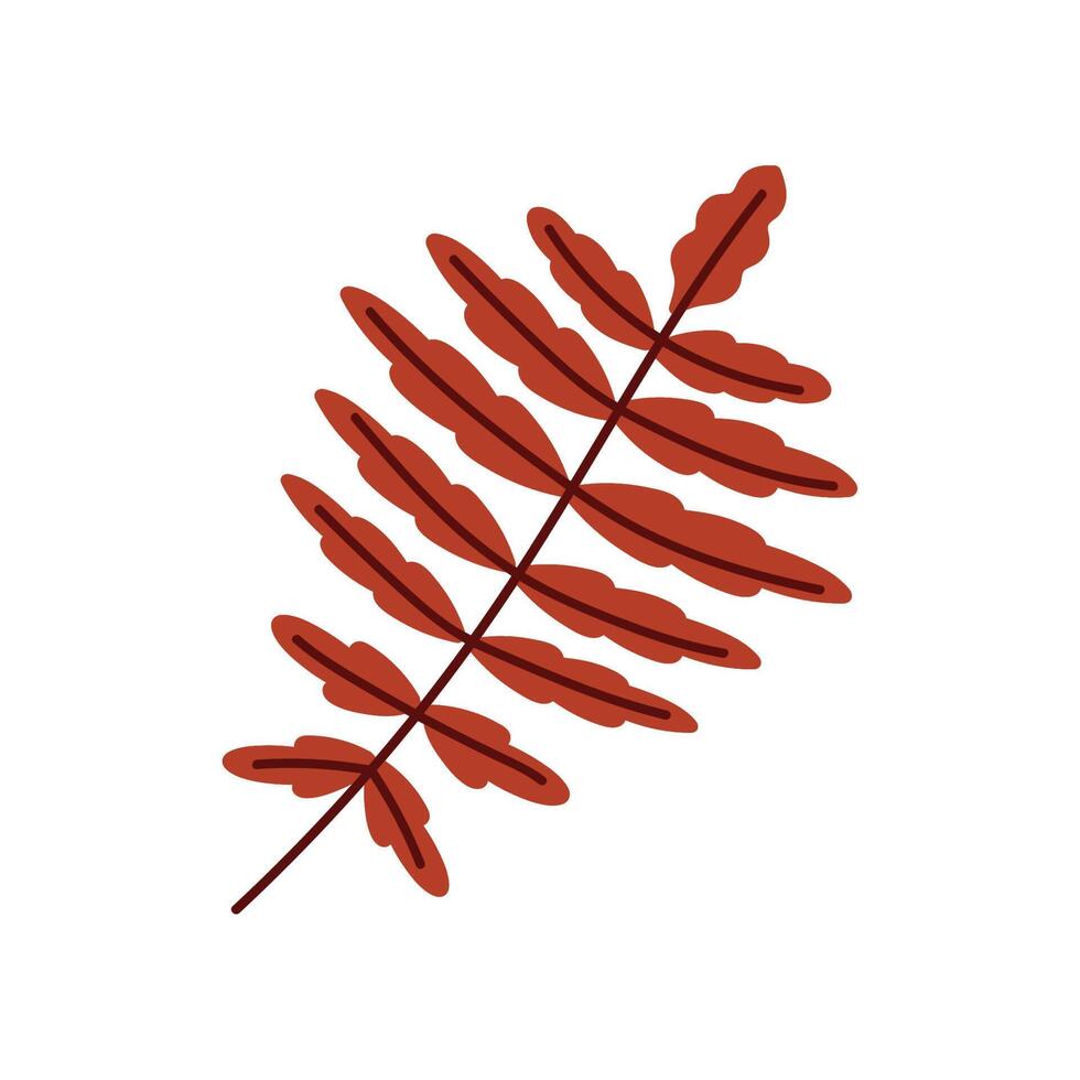 autumn red leafs in branch vector