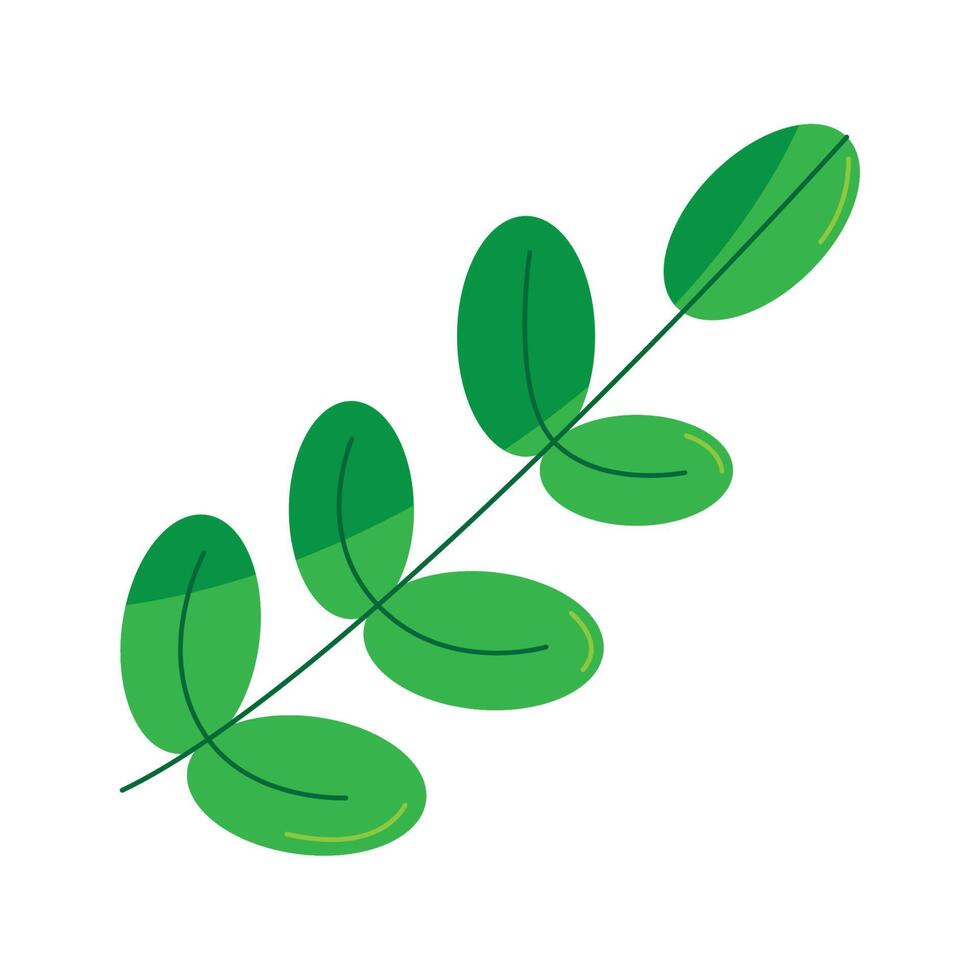 branch with leafs vector