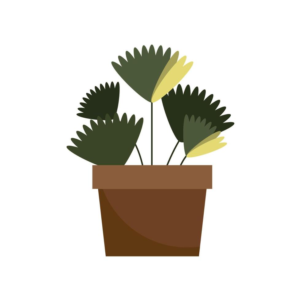 houseplant in pot vector