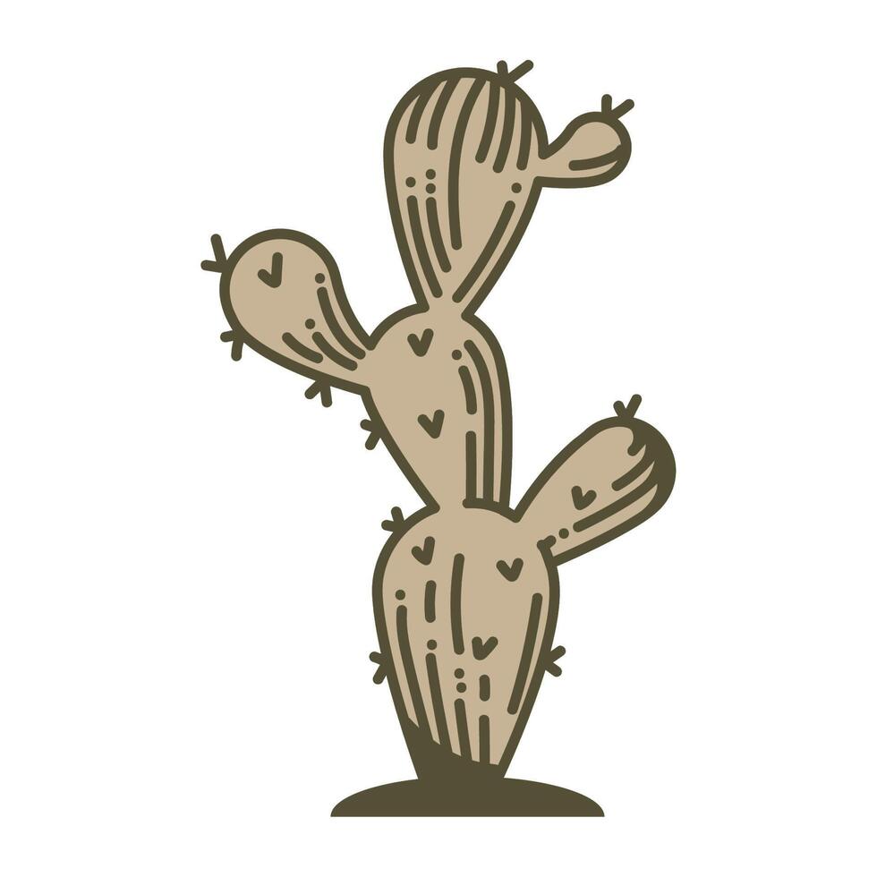 cactu desert plant vintage vector