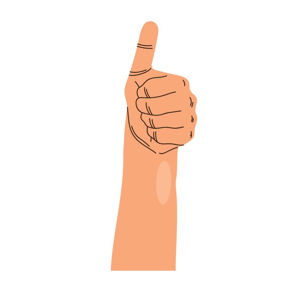 left hand like position vector