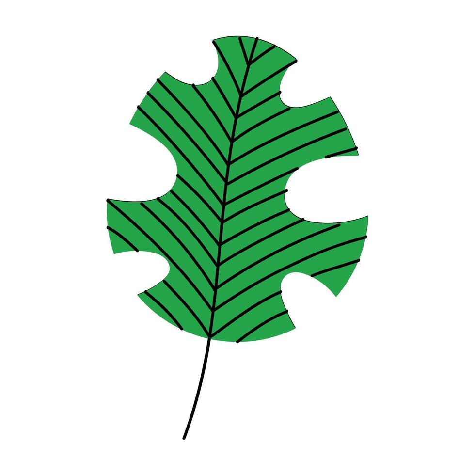 green tropical leaf vector