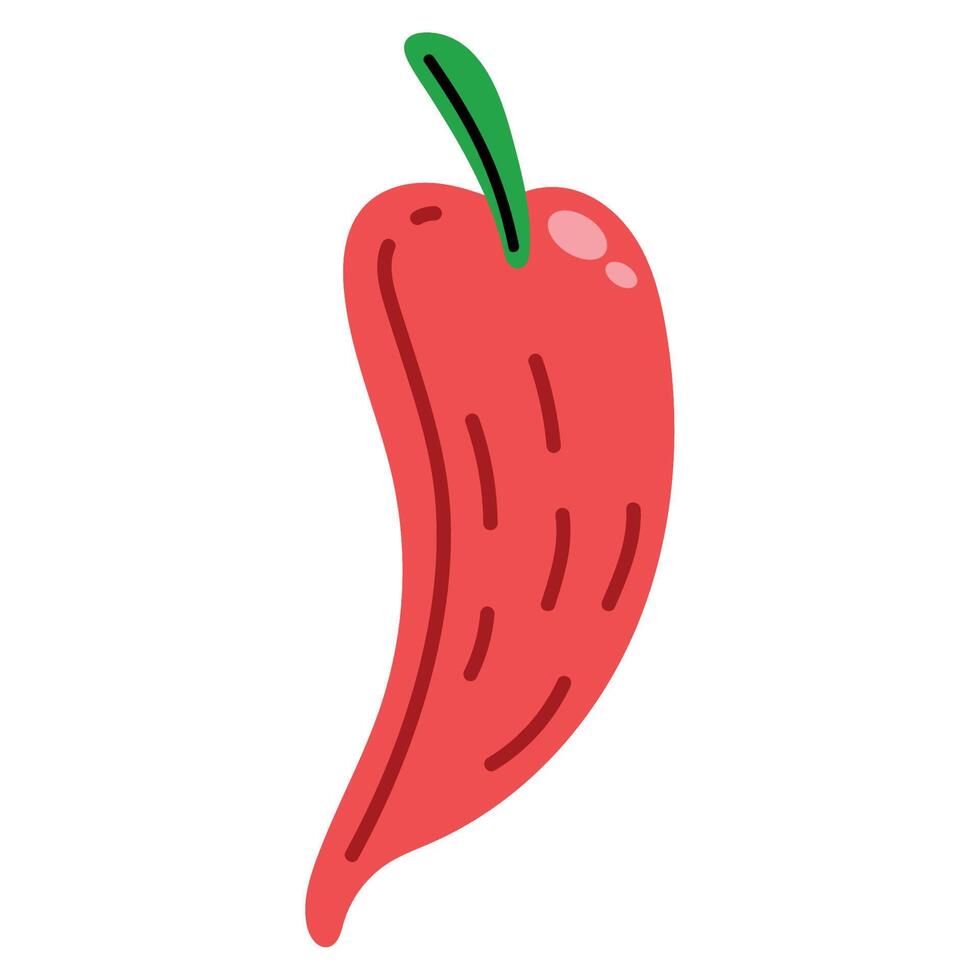 red chili pepper vector