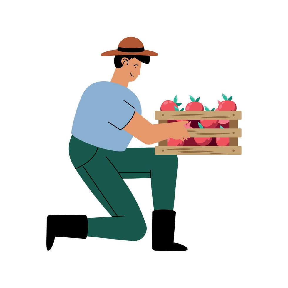 farmer man with tomatoes vector