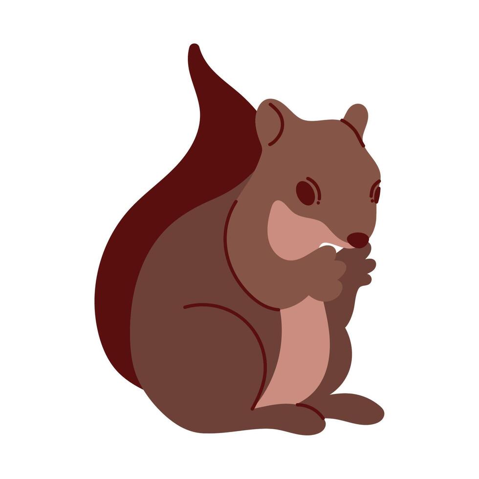 squirrel little animal vector