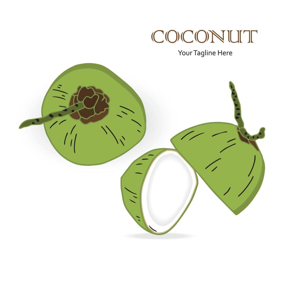 Fresh coconut and cut in half slice. Flat cartoon drawing. Vector isolated on white background.