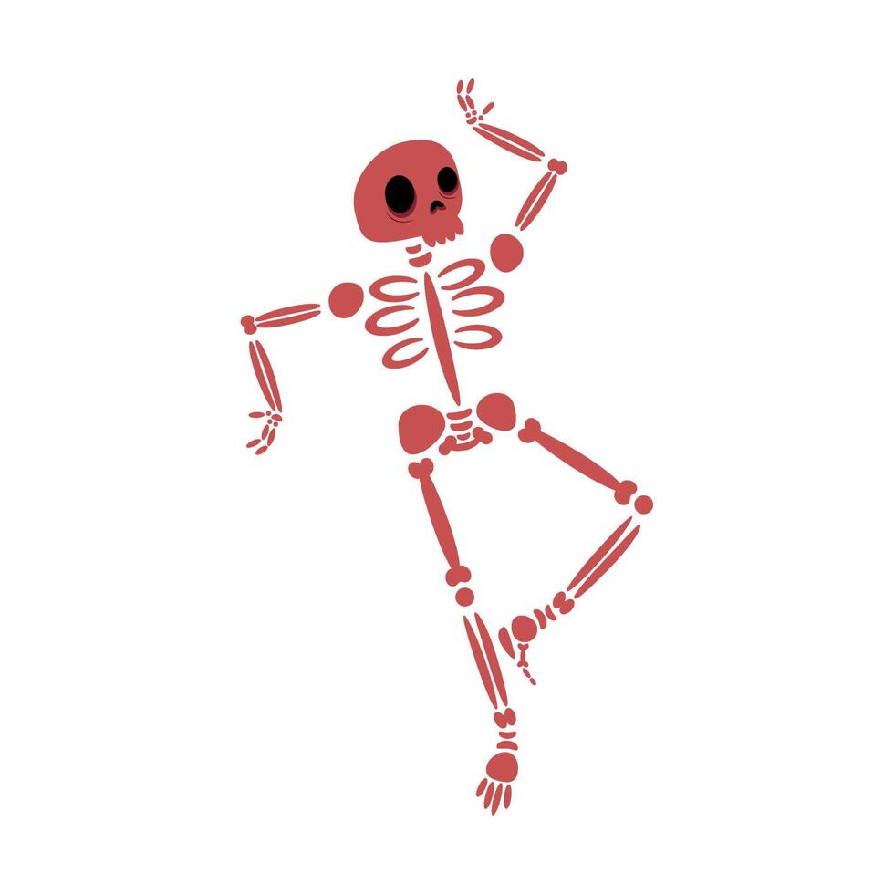 funny skeleton icon vector