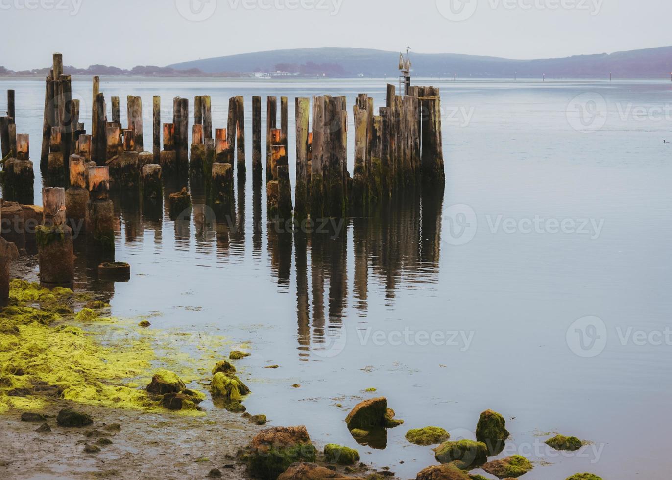 Coastal Landscape in the Fog photo