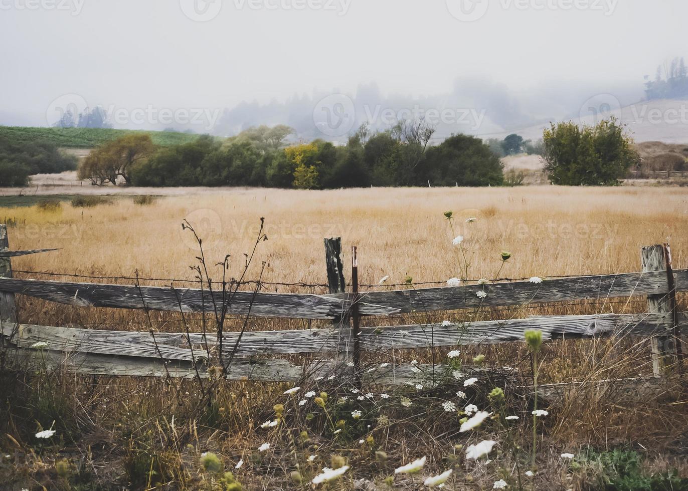 Foggy Countryside Landscape photo