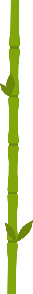illustration de conception de bambou isolée sur fond transparent png