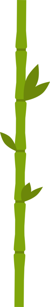 bamboo design illustration isolated on transparent background png