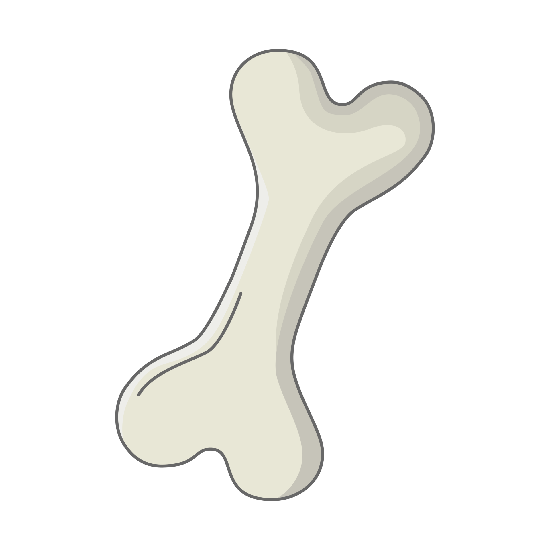 Hueso PNG para descargar gratis