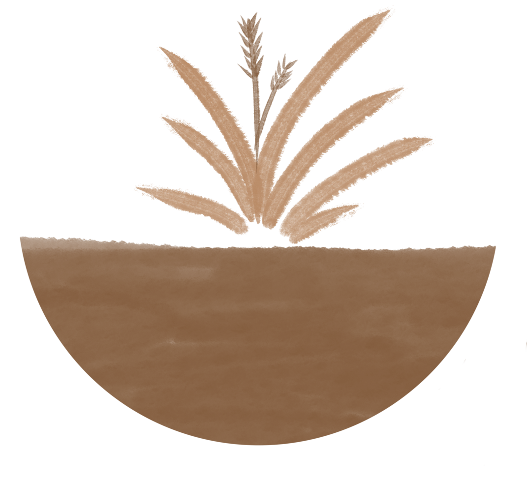 plant on ground boho style earth tone circle png