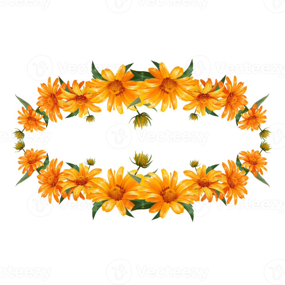 flower frame chamomile illustration png